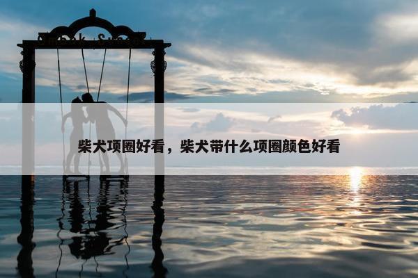 柴犬项圈好看，柴犬带什么项圈颜色好看
