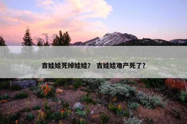 吉娃娃死掉娃娃？ 吉娃娃难产死了？