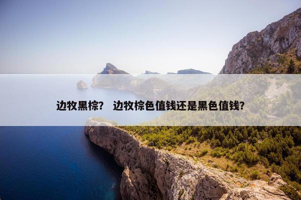 边牧黑棕？ 边牧棕色值钱还是黑色值钱？