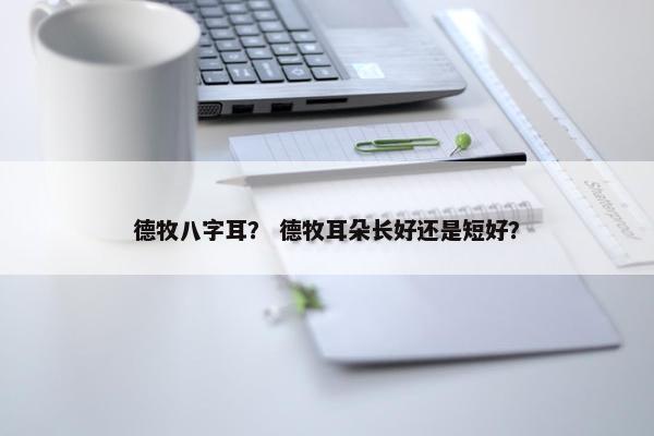 德牧八字耳？ 德牧耳朵长好还是短好？