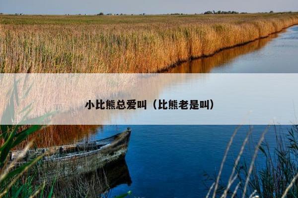 小比熊总爱叫（比熊老是叫）