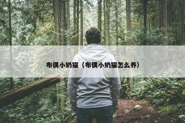布偶小奶猫（布偶小奶猫怎么养）