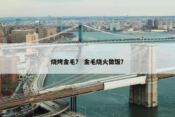 烧烤金毛？ 金毛烧火做饭？