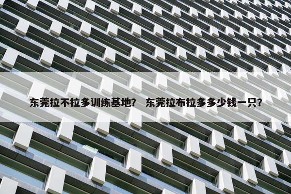 东莞拉不拉多训练基地？ 东莞拉布拉多多少钱一只？