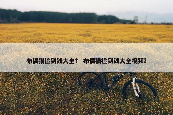 布偶猫捡到钱大全？ 布偶猫捡到钱大全视频？