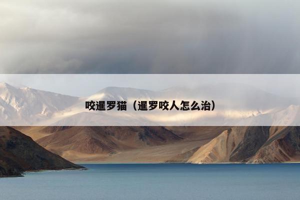 咬暹罗猫（暹罗咬人怎么治）