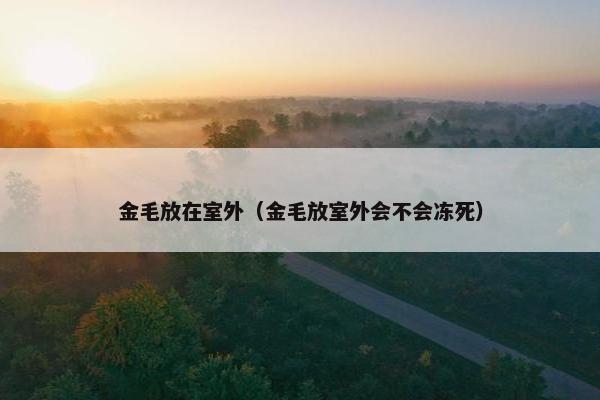 金毛放在室外（金毛放室外会不会冻死）
