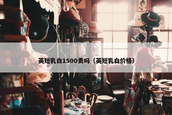 英短乳白1500贵吗（英短乳白价格）