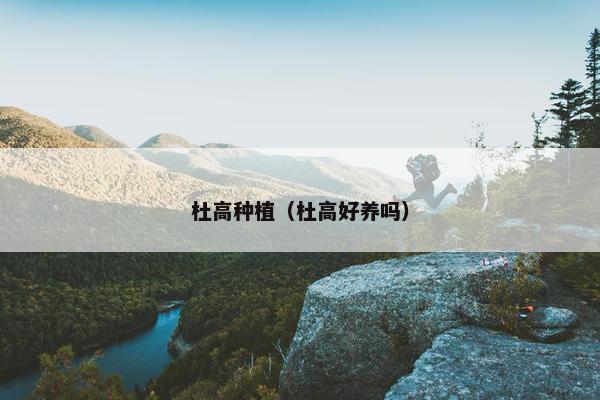 杜高种植（杜高好养吗）