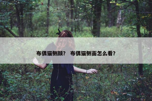 布偶猫侧颜？ 布偶猫侧面怎么看？