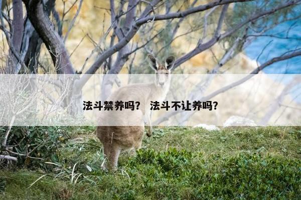 法斗禁养吗？ 法斗不让养吗？