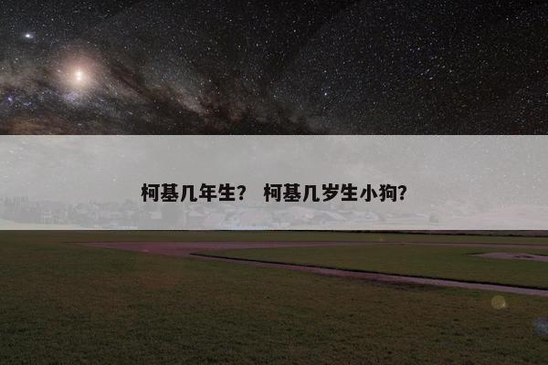 柯基几年生？ 柯基几岁生小狗？