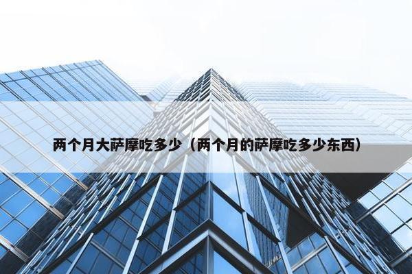 两个月大萨摩吃多少（两个月的萨摩吃多少东西）