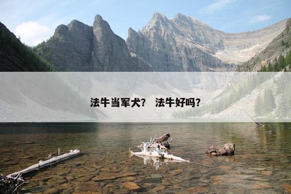 法牛当军犬？ 法牛好吗？