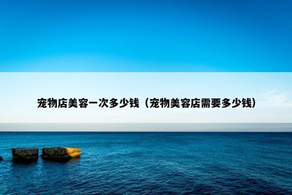 宠物店美容一次多少钱（宠物美容店需要多少钱）
