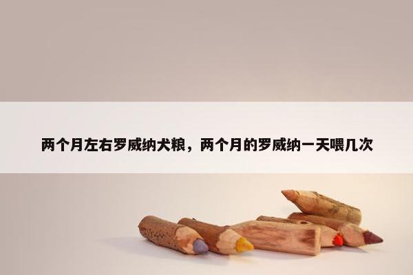 两个月左右罗威纳犬粮，两个月的罗威纳一天喂几次