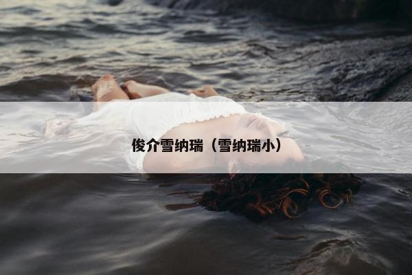 俊介雪纳瑞（雪纳瑞小）