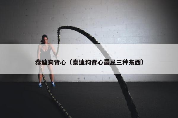 泰迪狗背心（泰迪狗背心最忌三种东西）