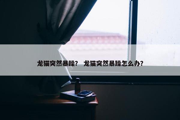 龙猫突然暴躁？ 龙猫突然暴躁怎么办？