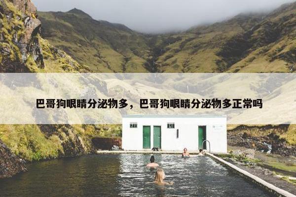 巴哥狗眼睛分泌物多，巴哥狗眼睛分泌物多正常吗