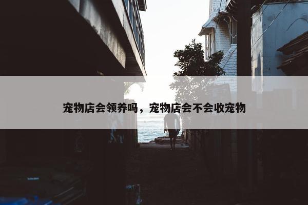 宠物店会领养吗，宠物店会不会收宠物
