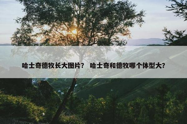 哈士奇德牧长大图片？ 哈士奇和德牧哪个体型大？
