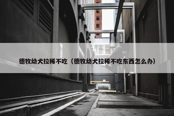 德牧幼犬拉稀不吃（德牧幼犬拉稀不吃东西怎么办）