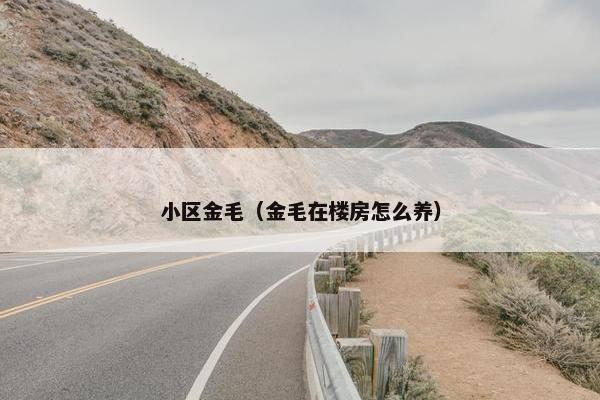 小区金毛（金毛在楼房怎么养）