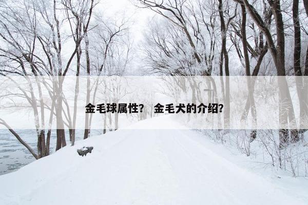 金毛球属性？ 金毛犬的介绍？