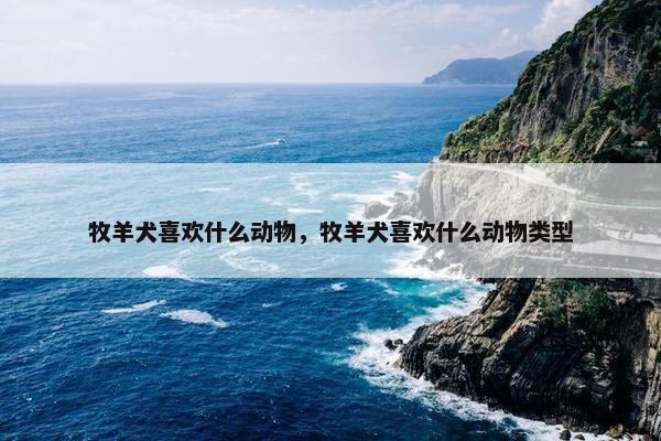 牧羊犬喜欢什么动物，牧羊犬喜欢什么动物类型