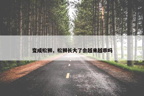变成松狮，松狮长大了会越来越乖吗