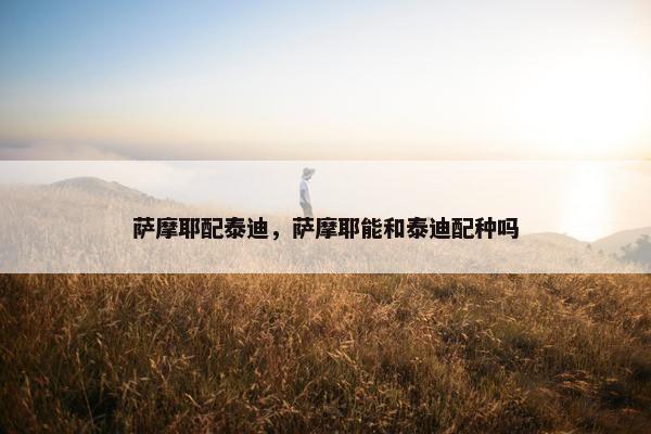 萨摩耶配泰迪，萨摩耶能和泰迪配种吗