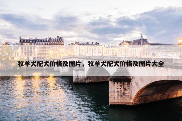 牧羊犬配犬价格及图片，牧羊犬配犬价格及图片大全