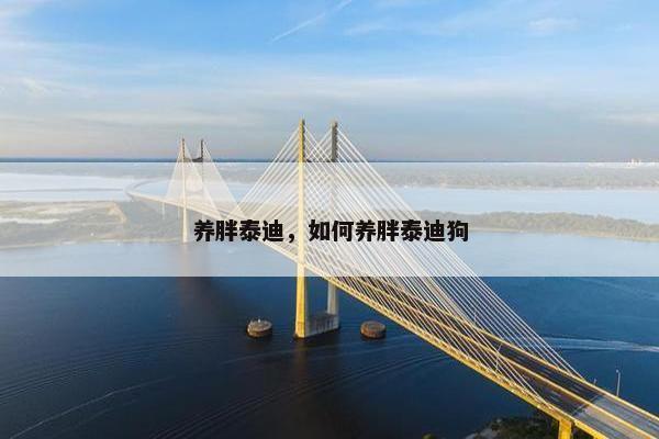 养胖泰迪，如何养胖泰迪狗