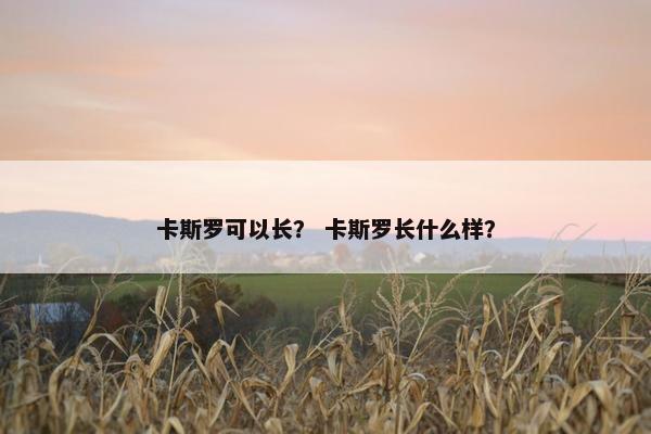卡斯罗可以长？ 卡斯罗长什么样？