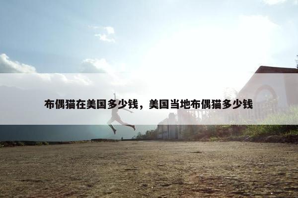 布偶猫在美国多少钱，美国当地布偶猫多少钱