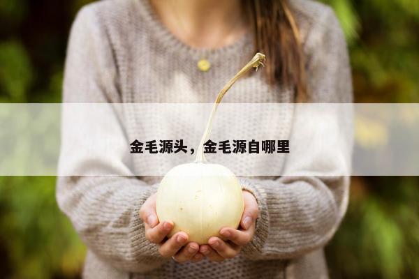 金毛源头，金毛源自哪里