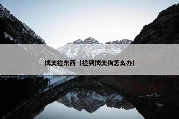 博美捡东西（捡到博美狗怎么办）