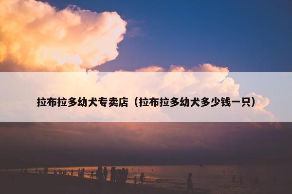 拉布拉多幼犬专卖店（拉布拉多幼犬多少钱一只）