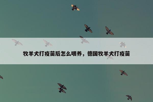 牧羊犬打疫苗后怎么喂养，德国牧羊犬打疫苗