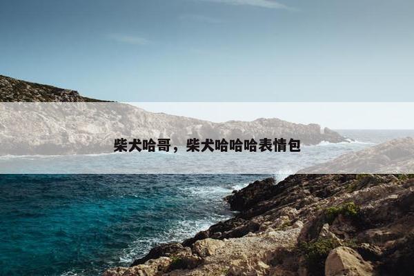 柴犬哈哥，柴犬哈哈哈表情包