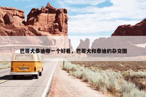 巴哥犬泰迪哪一个好看，巴哥犬和泰迪的杂交图