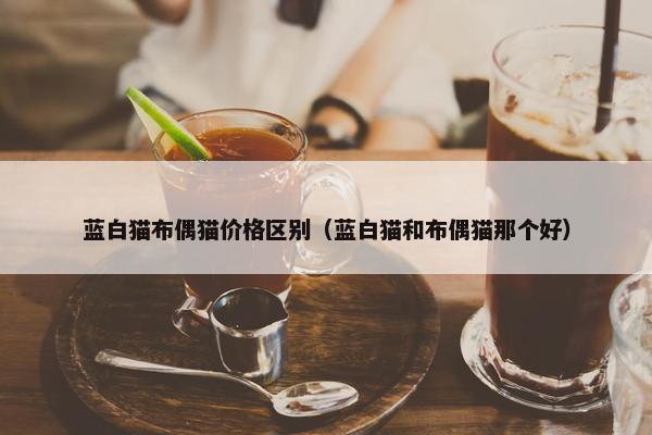 蓝白猫布偶猫价格区别（蓝白猫和布偶猫那个好）