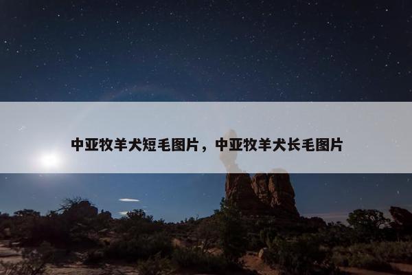 中亚牧羊犬短毛图片，中亚牧羊犬长毛图片