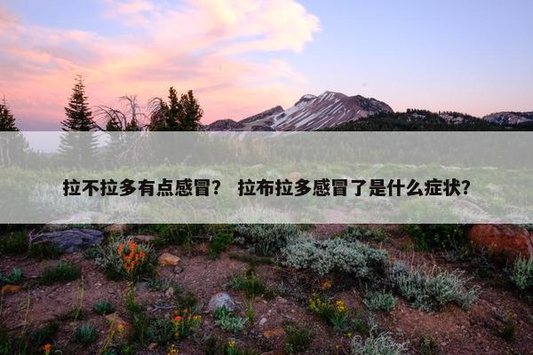 拉不拉多有点感冒？ 拉布拉多感冒了是什么症状？