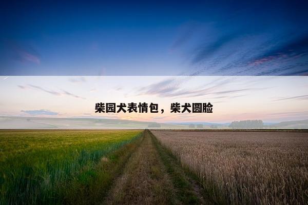 柴园犬表情包，柴犬圆脸