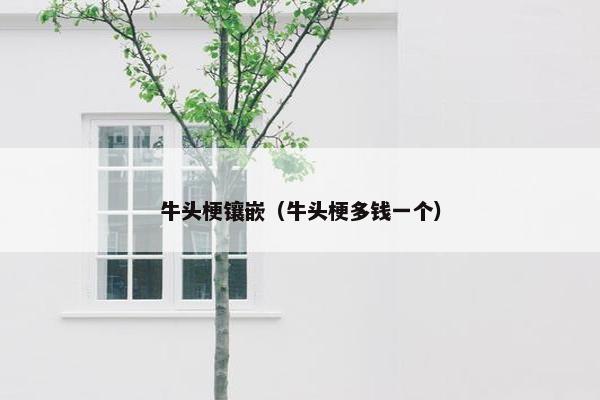 牛头梗镶嵌（牛头梗多钱一个）
