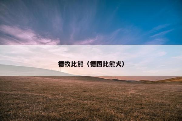 德牧比熊（德国比熊犬）