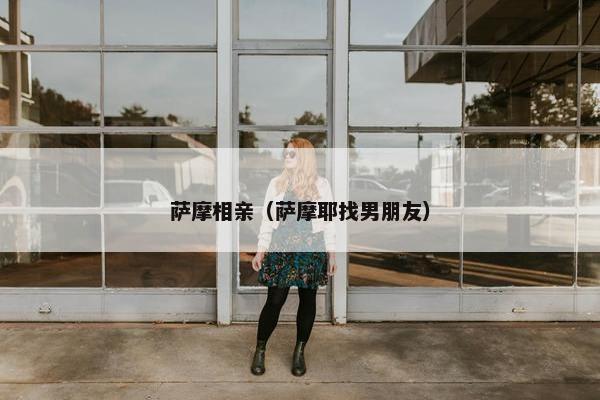 萨摩相亲（萨摩耶找男朋友）