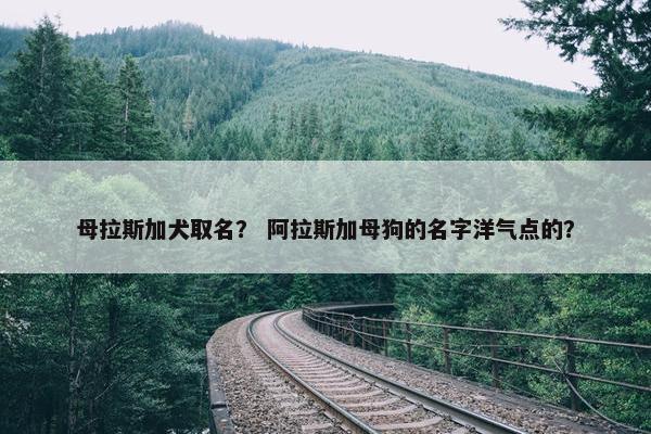 母拉斯加犬取名？ 阿拉斯加母狗的名字洋气点的？